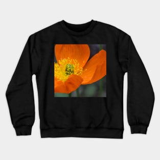 Poppy Crewneck Sweatshirt